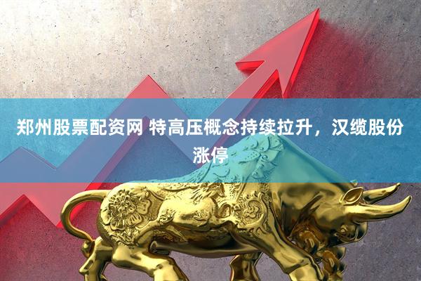 郑州股票配资网 特高压概念持续拉升，汉缆股份涨停